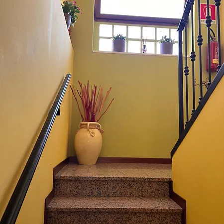 L'acero *